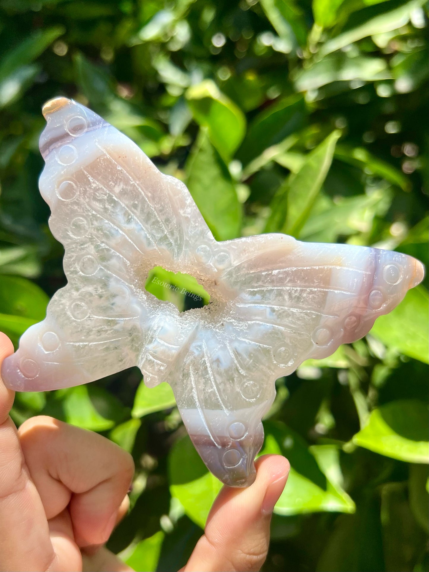 Agate Butterfly