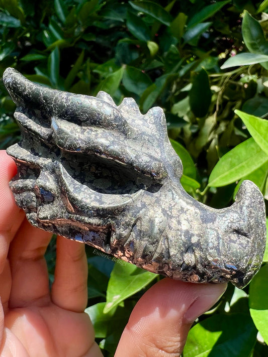 Black Pyrite Dragon Head