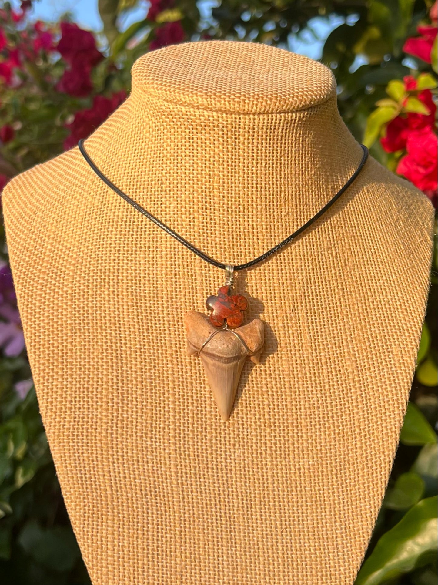 Red Jasper Shark Tooth Necklace