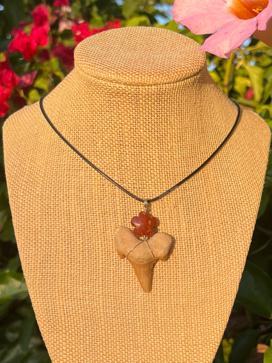 Red Jasper Shark Tooth Necklace