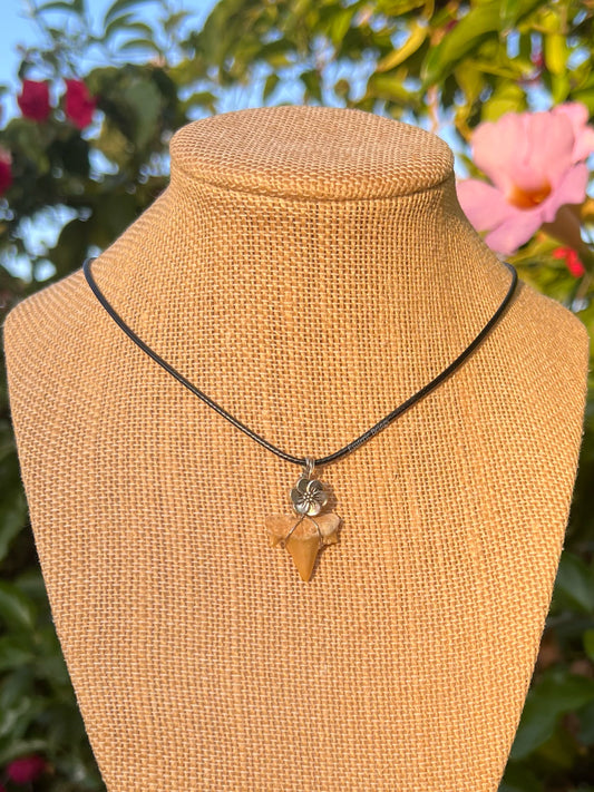 Shark Tooth Necklace