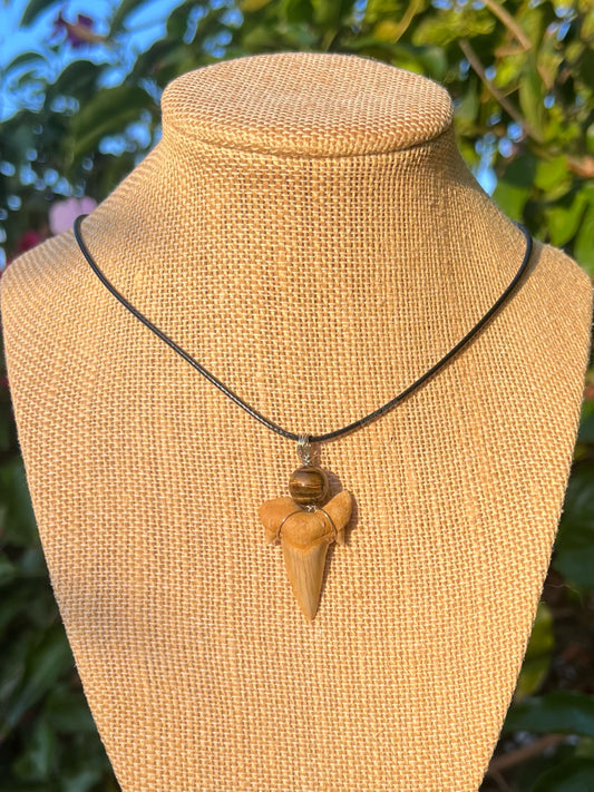 Tiger’s Eye Shark Tooth Necklace