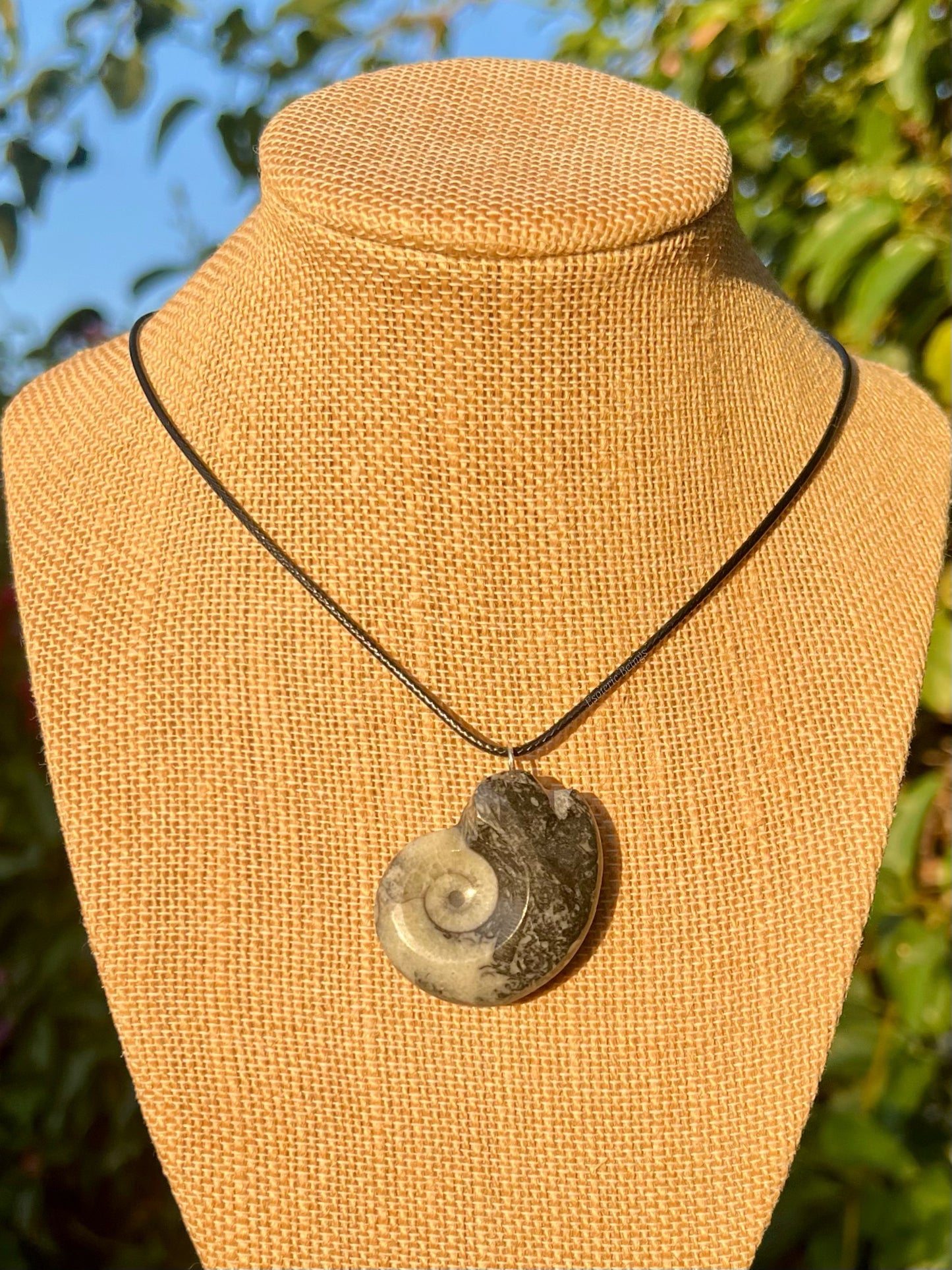 Ammonite Necklace