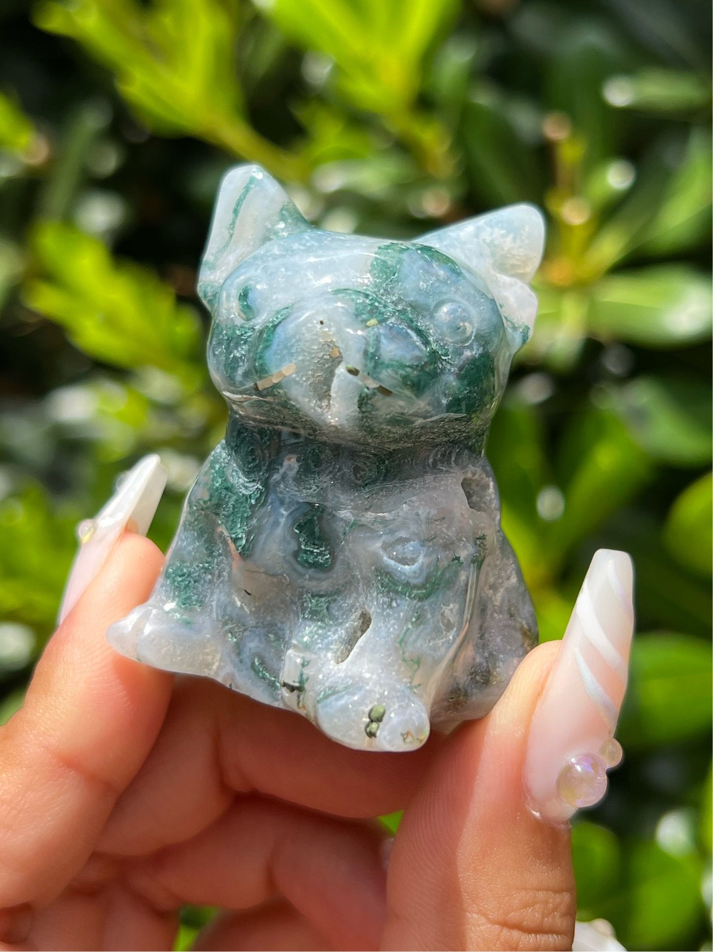 Moss Agate Frenchie