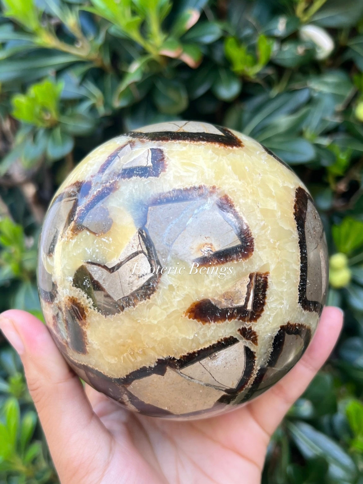 Septarian Sphere