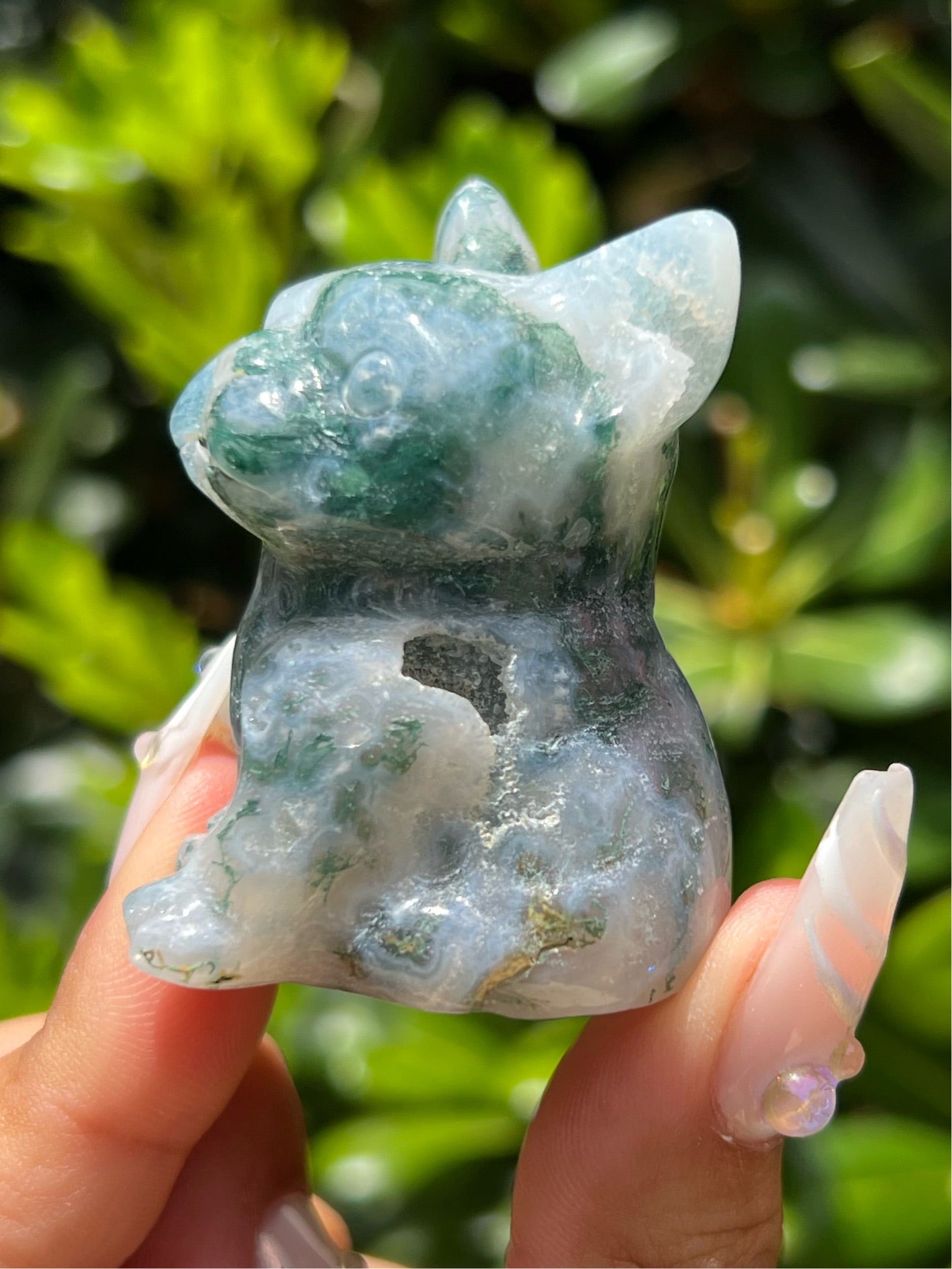 Moss Agate Frenchie