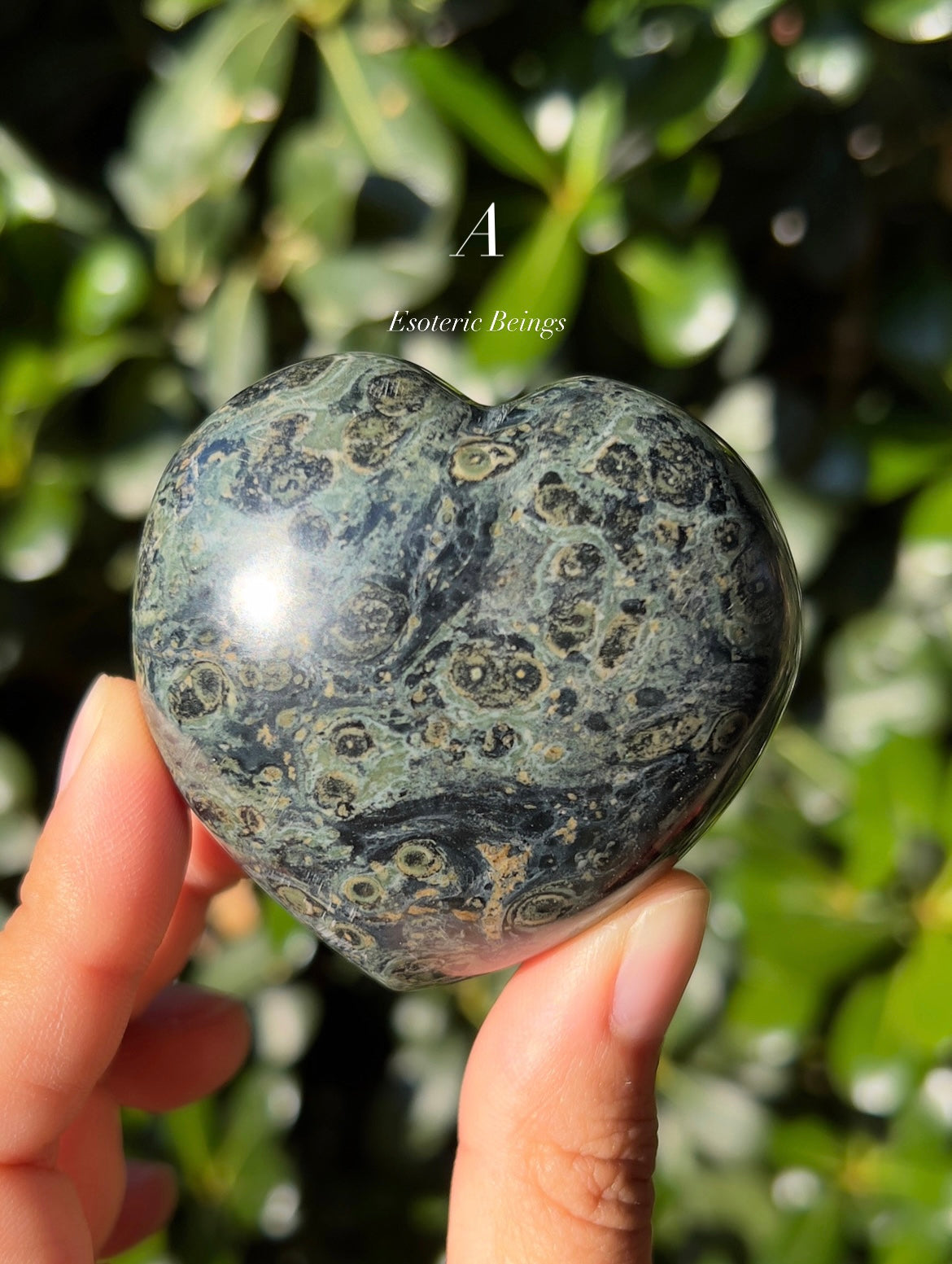 Kambaba Jasper Heart