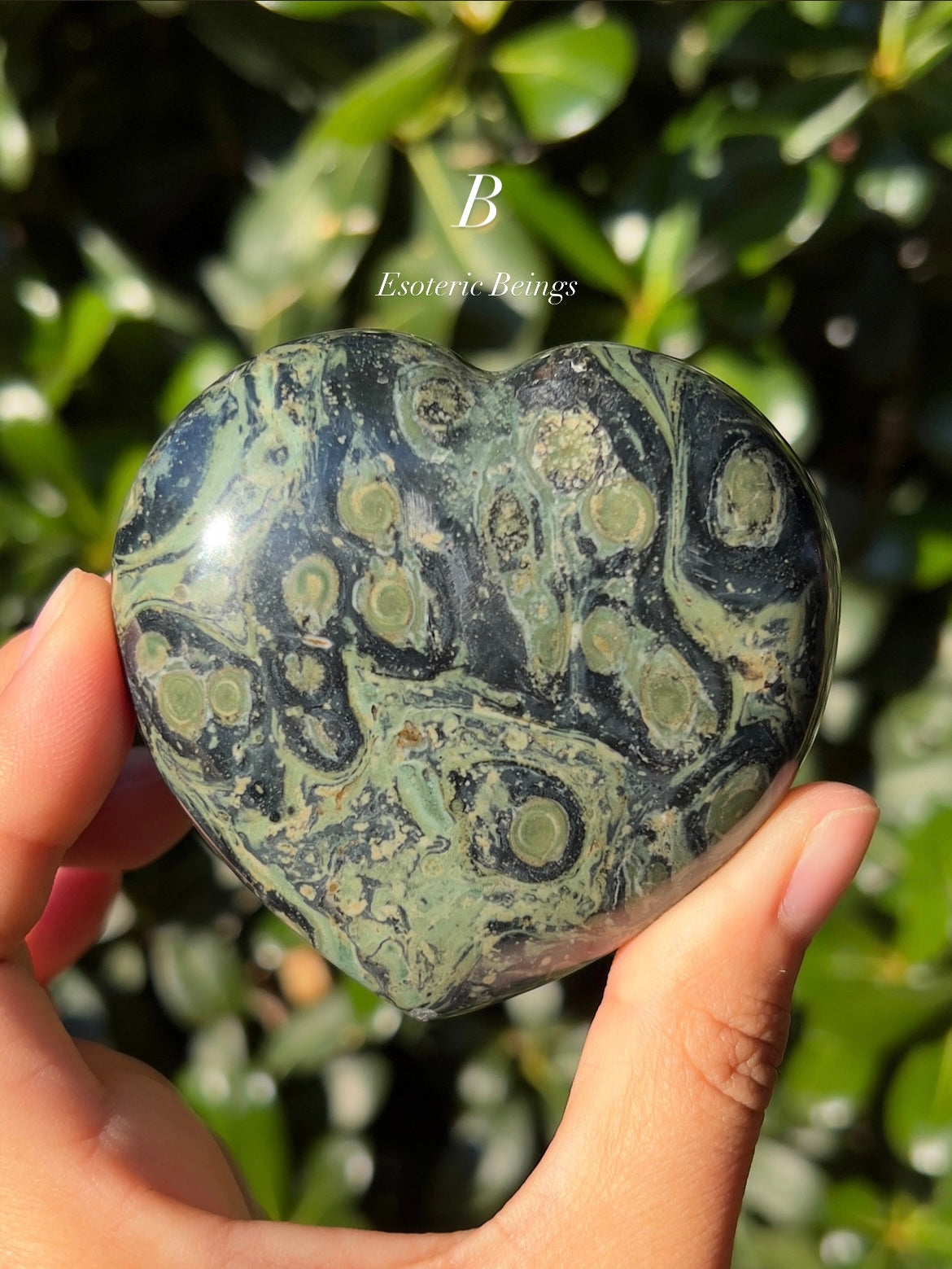 Kambaba Jasper Heart