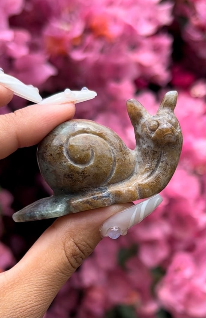 Moss Agate Snail [a]