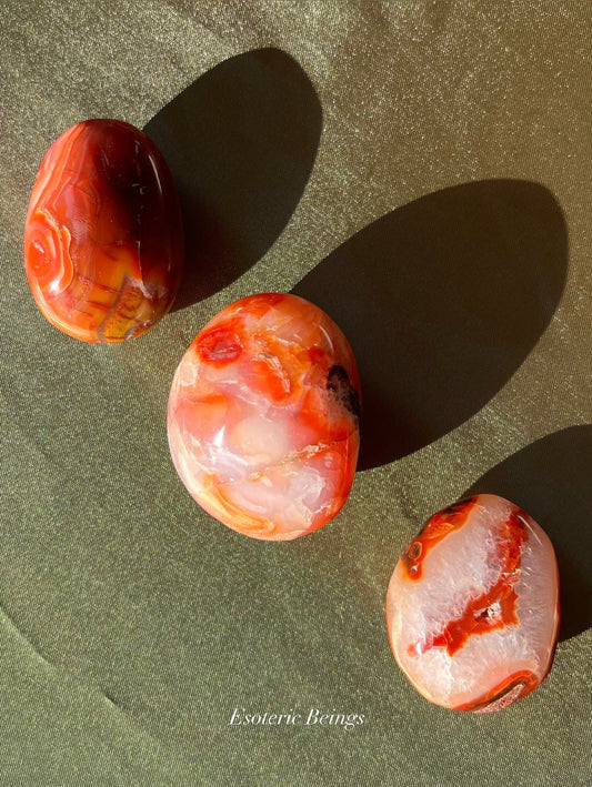 Carnelian Palm