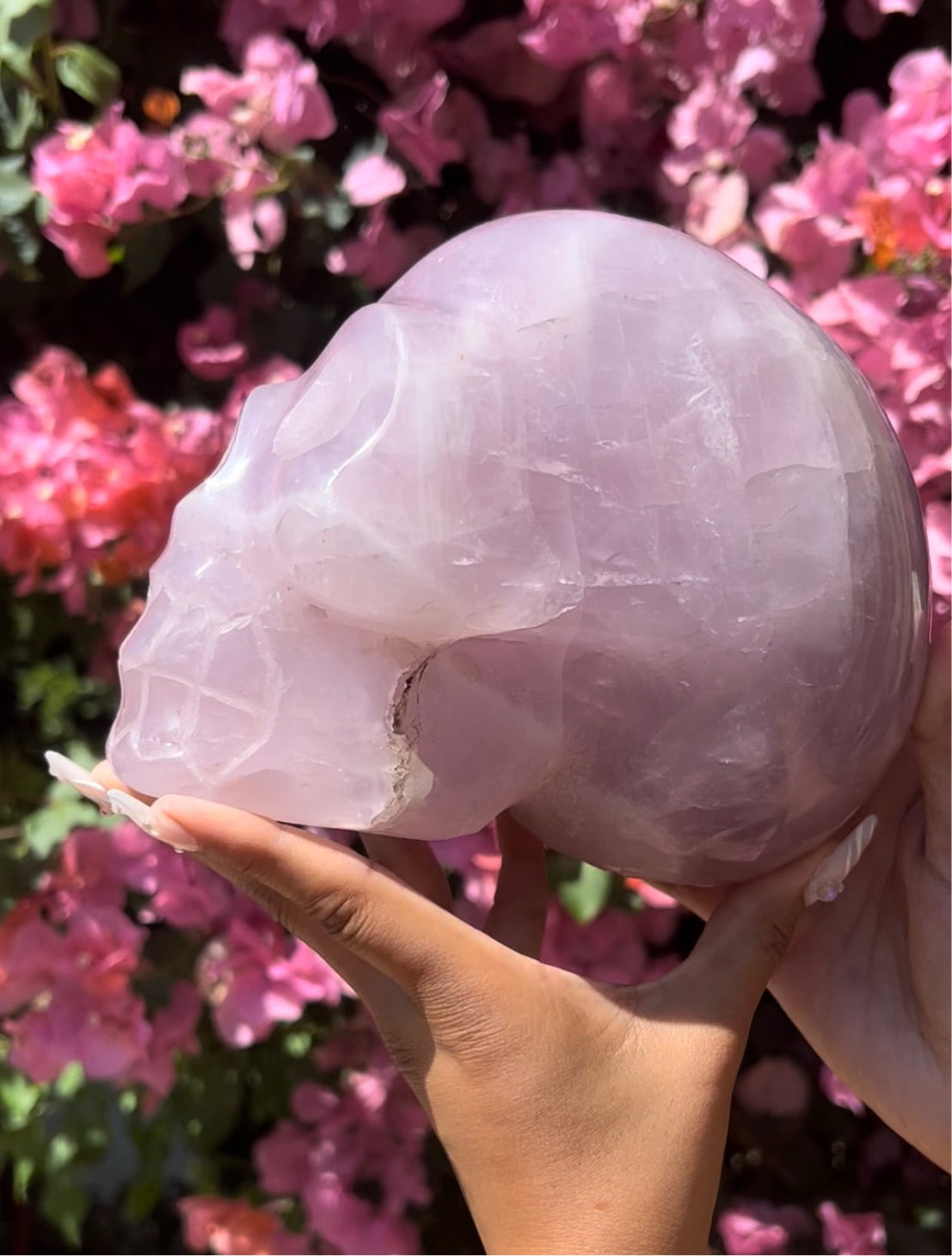 Lavender Rose Quartz Skull