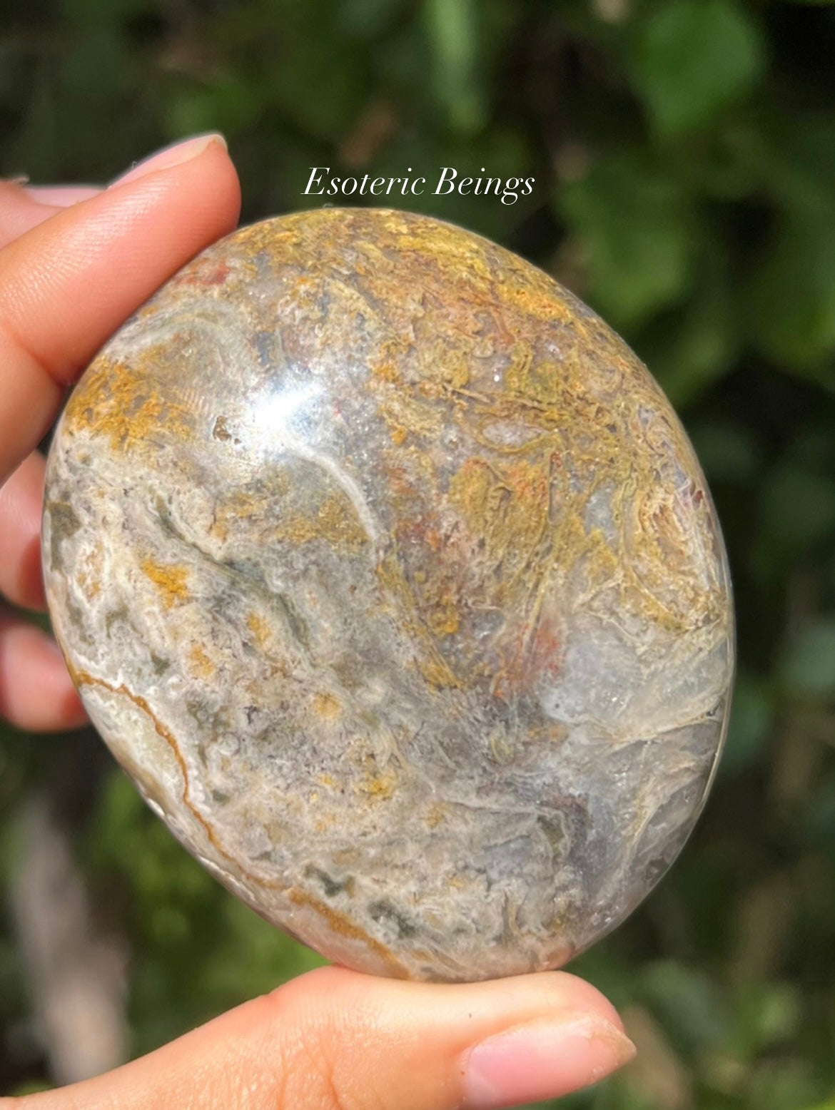 Ocean Jasper Palmstone