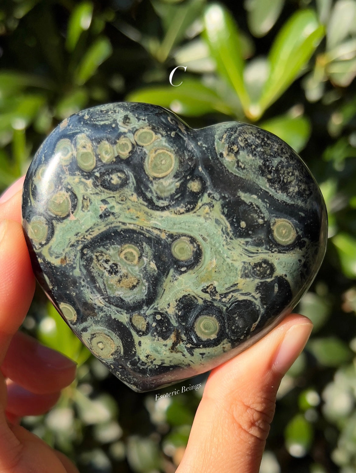 Kambaba Jasper Heart