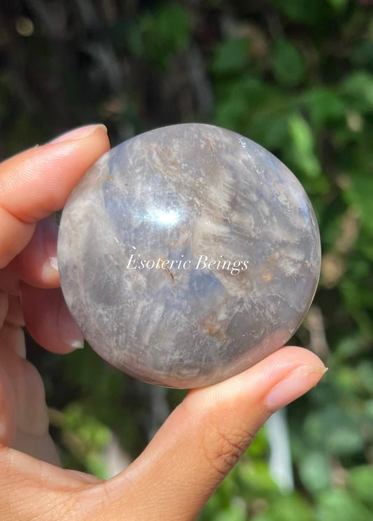 Ocean Jasper Palmstone