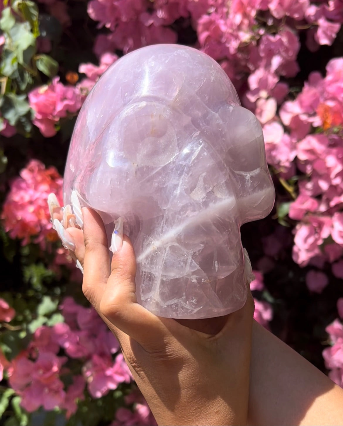 Lavender Rose Quartz Skull