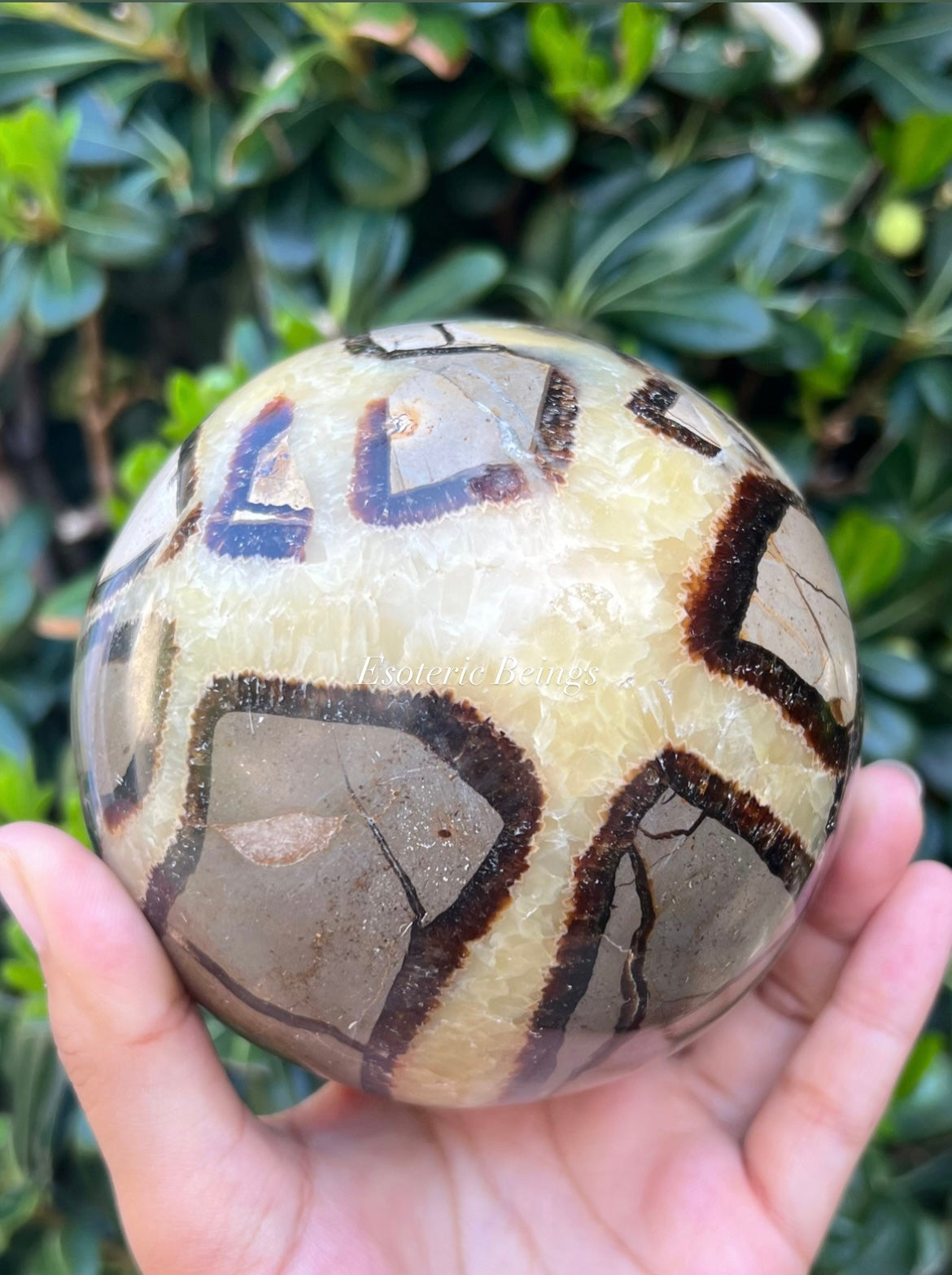 Septarian Sphere