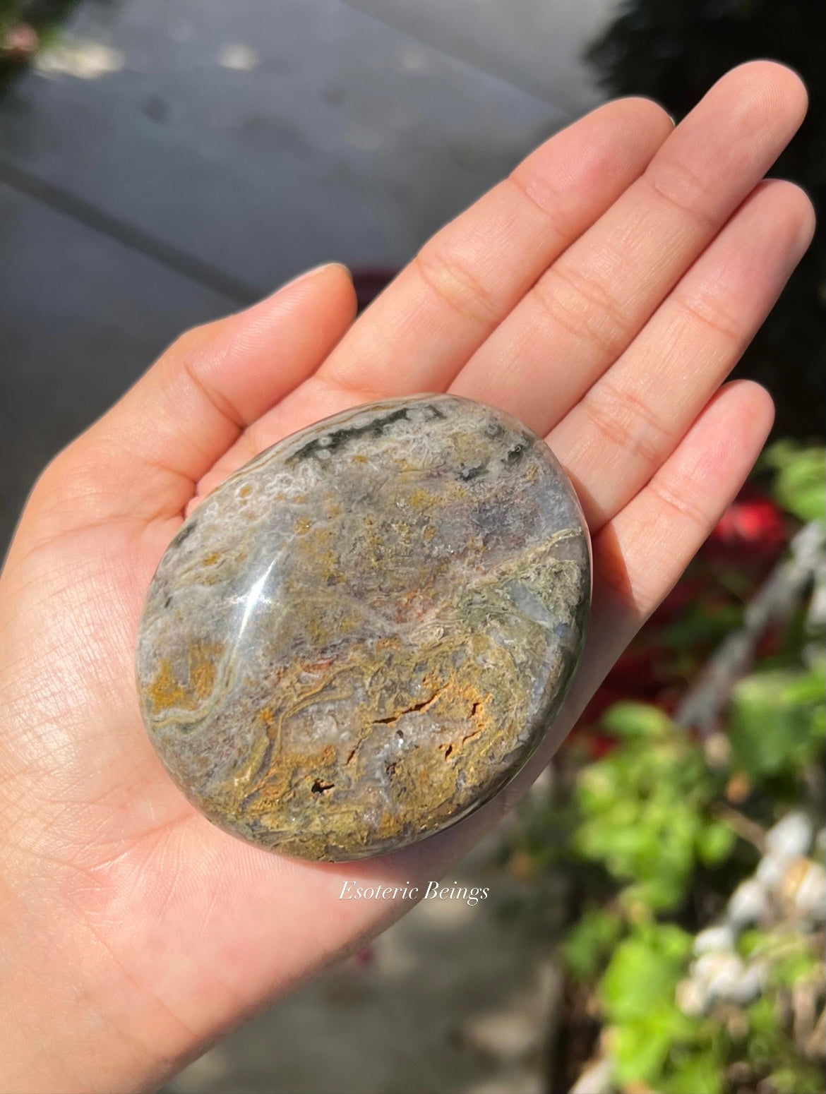 Ocean Jasper Palmstone