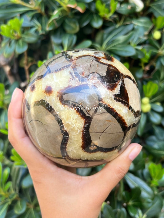 Septarian Sphere