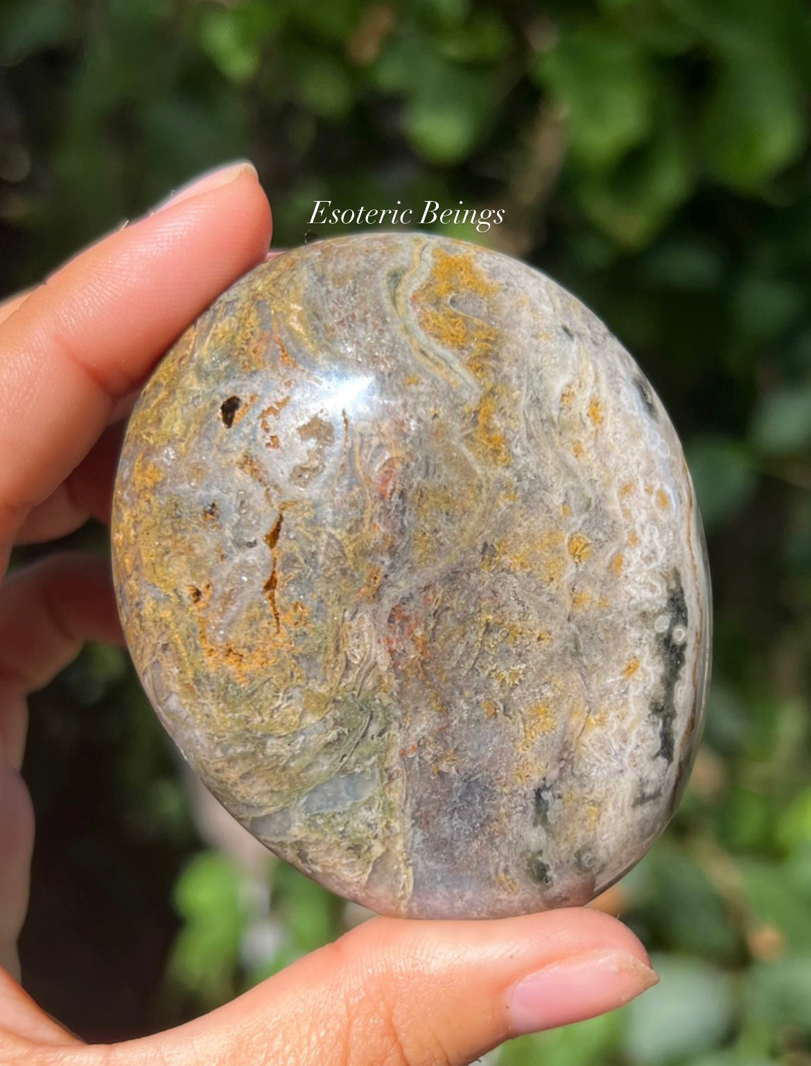 Ocean Jasper Palmstone