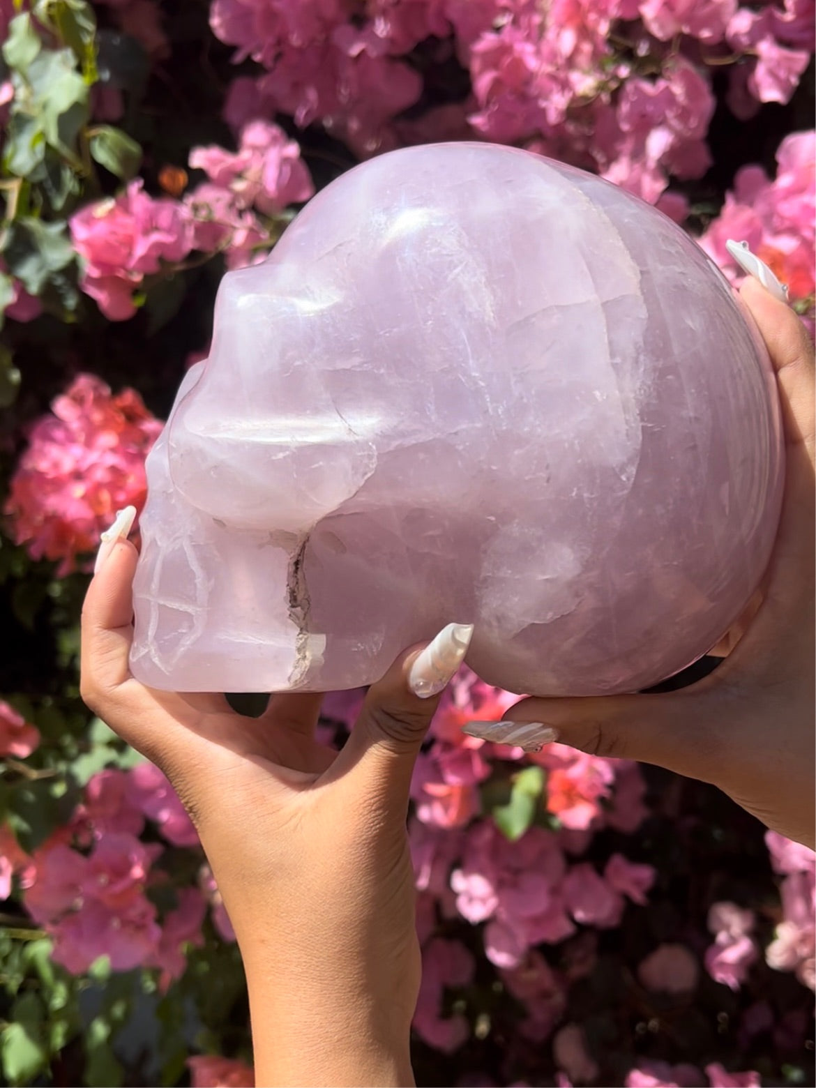 Lavender Rose Quartz Skull