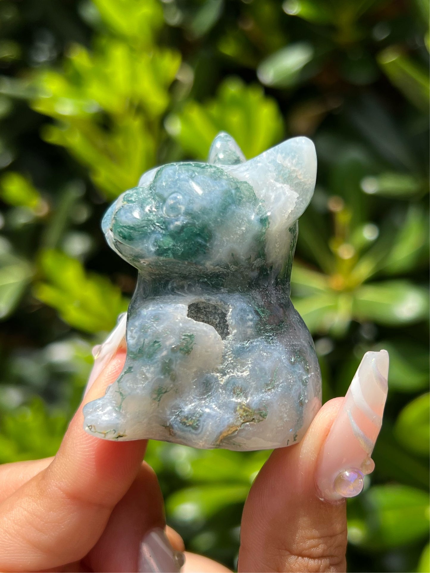 Moss Agate Frenchie